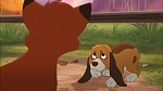 Fox and the Hound 2 picture