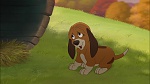 Fox and the Hound 2 picture