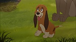 Fox and the Hound 2 picture
