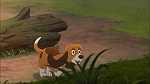 Image Fox and the Hound 2