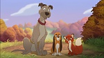 Fox and the Hound 2 picture
