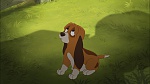 Fox and the Hound 2 picture
