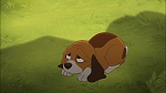 Fox and the Hound 2 picture