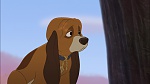 Fox and the Hound 2 picture