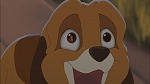 Image Fox and the Hound 2