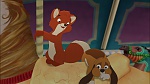 Image Fox and the Hound 2