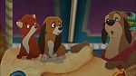 Fox and the Hound 2 picture