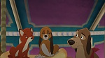 Fox and the Hound 2 picture