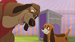 Fox and the Hound 2 picture
