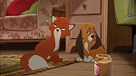 Image Fox and the Hound 2
