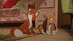 Fox and the Hound 2 picture