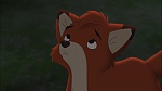 Image Fox and the Hound 2