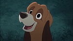 Fox and the Hound 2 picture