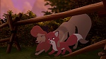 Fox and the Hound 2 picture