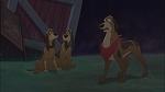 Image Fox and the Hound 2