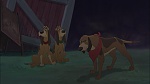 Fox and the Hound 2 picture