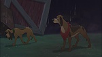 Fox and the Hound 2 picture