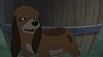 Fox and the Hound 2 picture