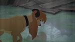 Fox and the Hound 2 picture