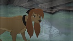 Image Fox and the Hound 2
