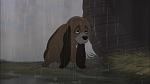 Fox and the Hound 2 picture