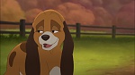 Fox and the Hound 2 picture