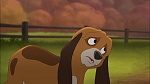 Image Fox and the Hound 2