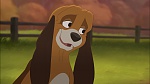 Fox and the Hound 2 picture