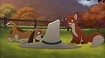 Image Fox and the Hound 2