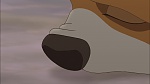 Image Fox and the Hound 2