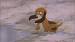 Fox and the Hound 2 picture