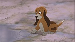 Fox and the Hound 2 picture