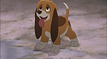 Fox and the Hound 2 picture
