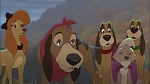 Image Fox and the Hound 2