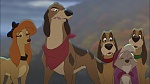 Fox and the Hound 2 picture