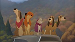 Fox and the Hound 2 picture