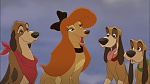 Fox and the Hound 2 picture