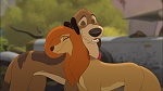 Fox and the Hound 2 picture
