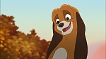 Fox and the Hound 2 picture
