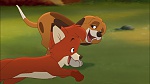 Fox and the Hound 2 picture