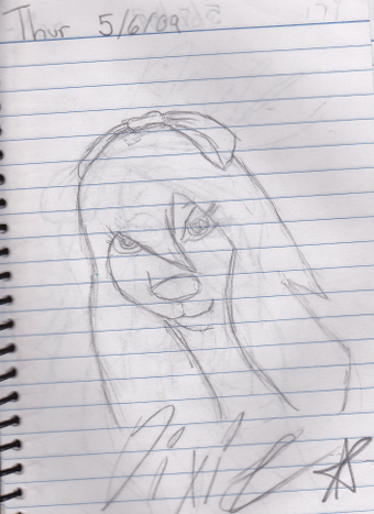 Dixie Doodle