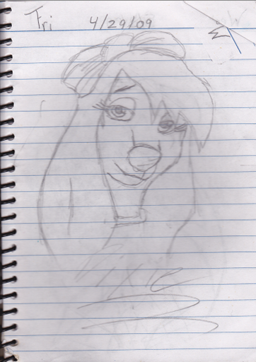 Dixie Doodle 2