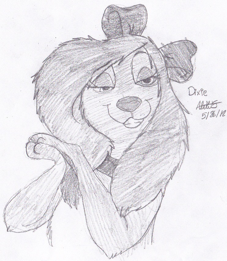 Dixie Doodle *3