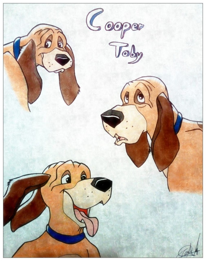 Cooper - Toby
