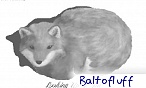 baltofluff