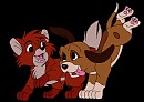 Rox et Rouky