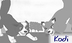 Kodi