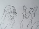Copper & Tod