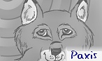 Paxis
