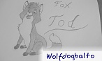 wolfdogbalto